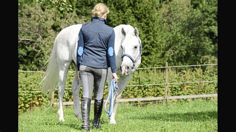 reitbeteiligung|reitbeteiligung finden.